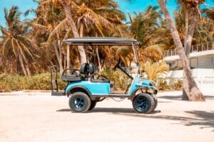 a blue golf cart parked on a sandy area with palm trees - GO San Pedro Rental